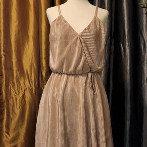 Retro champagne metallic dress